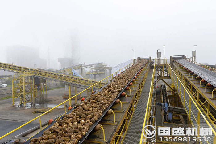 �ۿ�Ƥ���C